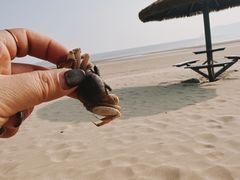 -朱家尖南沙景点