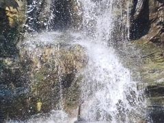 -燕塞湖鸟语林景区