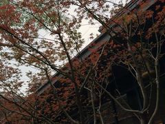 -湖滨客舍·湖北菜