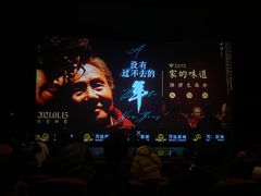 -万达影城(锦华万达广场IMAX店)