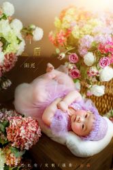 -金夫人婚纱摄影(总店)