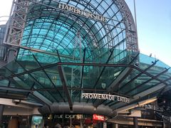 -Pancakes on the rocks(Darling Harbour)