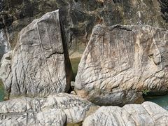 -广州白江湖森林公园