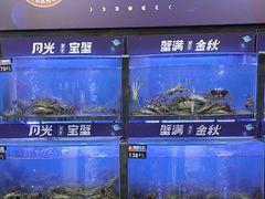 -蟹状元大闸蟹·年货·粽子(成都成华店)
