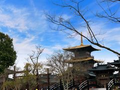 -上海东方佘山翰悦阁酒店·Vie全日制餐厅