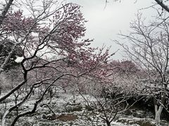 -南京东郊国宾馆