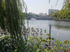 -映月湖公园