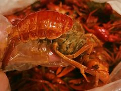 -文和友老长沙龙虾馆(化龙池店)