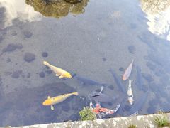-水前寺成趣园