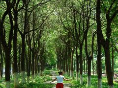 -千龙湖生态旅游度假区