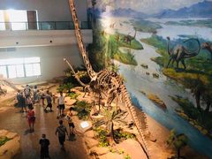 -自贡恐龙博物馆