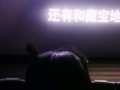 -英皇电影城(英皇集团中心IMAX店)
