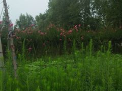 -美味居(古城店)