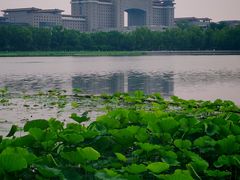 -莲花池公园