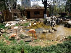 -昆明动物园