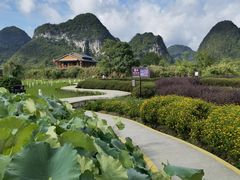 -靖西鹅泉风景区
