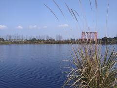 -中国天府农业博览园