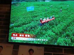 -裕和堂中医推拿艾灸(太古汇臻品店)