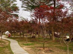 -广州市帽峰山景区