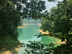 -广州市流溪河国家森林公园