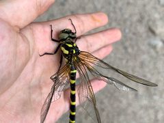 -碓臼峪自然风景区