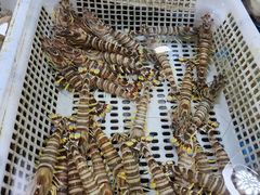 -王四营海鲜市场