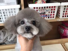 -宠福鑫康馨动物医院·骨科·眼科