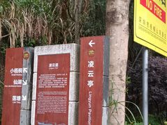 -梧桐山风景名胜区