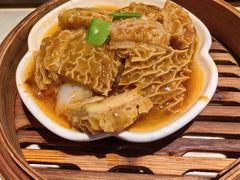 -点都德·毕德寮