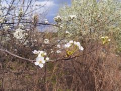 -帽儿山国家森林公园