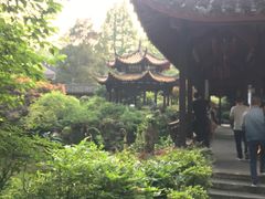 -杭州黄龙洞