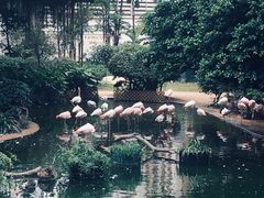 -九龙公园