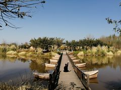 景点-西昌邛海湿地