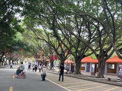 -南沙天后宫景区