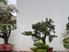 -龙华寺