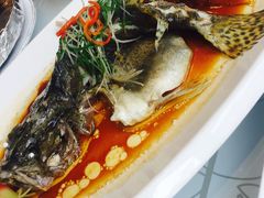 -宝宇大连海鲜渔港(金奎大厦店)