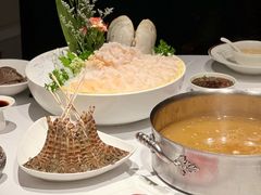 -洋房火锅(上海新天地南北里店)