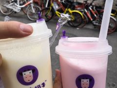 -一只酸奶牛(东方广场店)