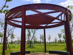 -春花秋色城市公园