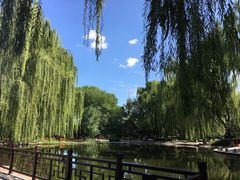 -玲珑塔公园