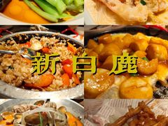 -新白鹿餐厅(金鹰新街口店)