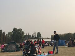 -秀丽东方