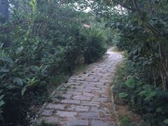 -浮山香苑