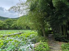 -兰亭风景区