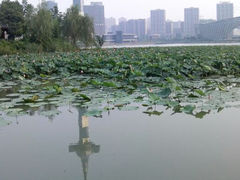 -聚龙湖公园