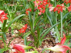 -昆山城市生态森林公园