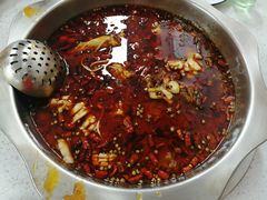 -重庆何乌鱼(南湖逸家店)