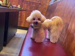 -釜山火炉·海鲜烤肉(紫藤路店)