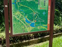 -风云岭森林公园