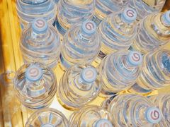 -颐辰舍岁岁羊(文昌万达景园店)